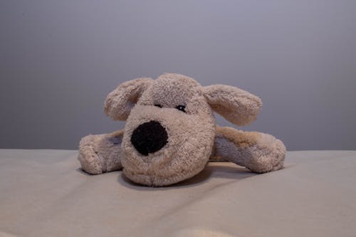 Kostnadsfri bild av leksak hund