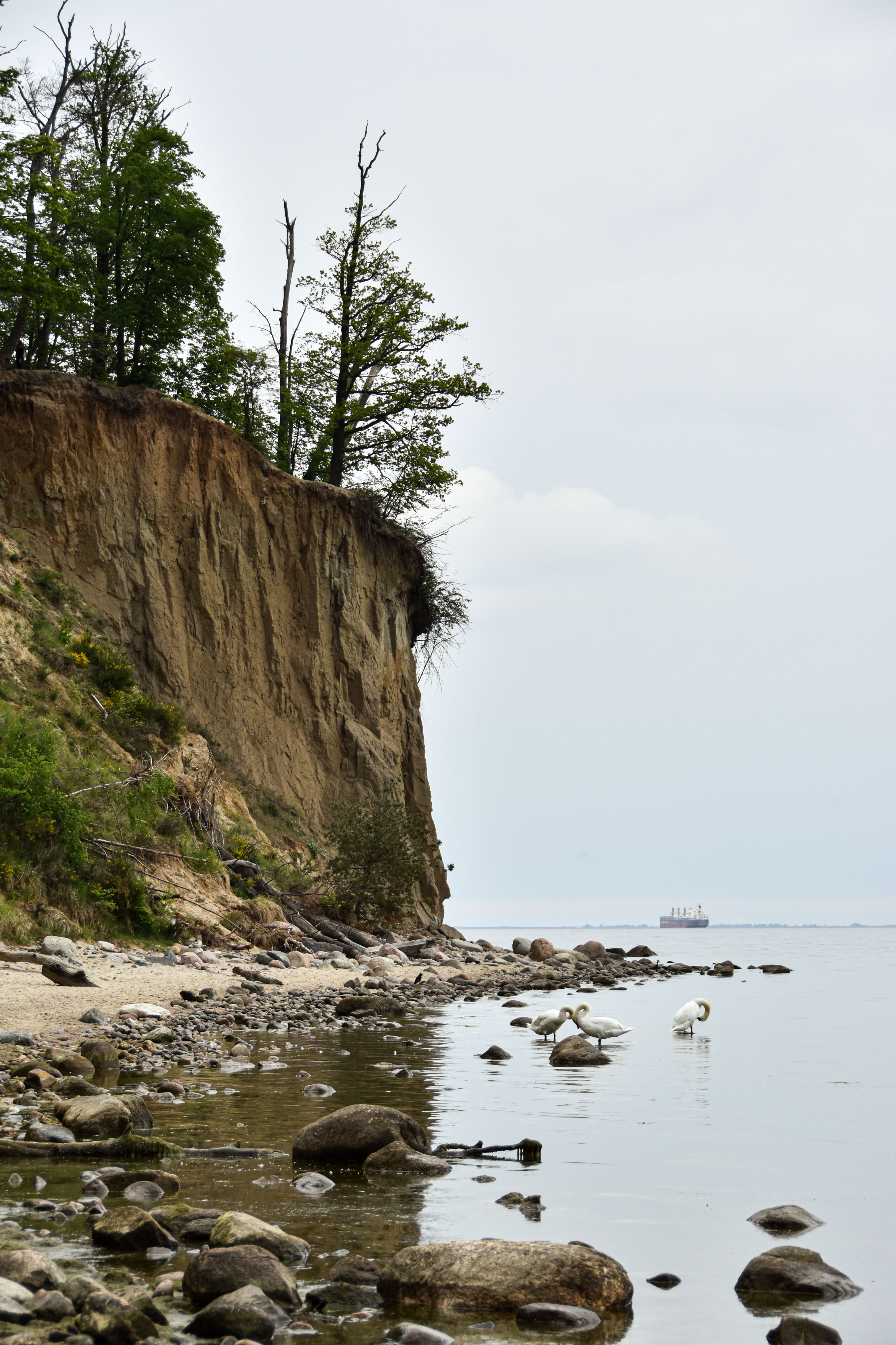 Mountain Cliff with Rocky Shore · Free Stock Photo