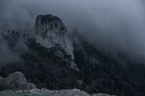 A Rock Formation Between Trees on Mountain