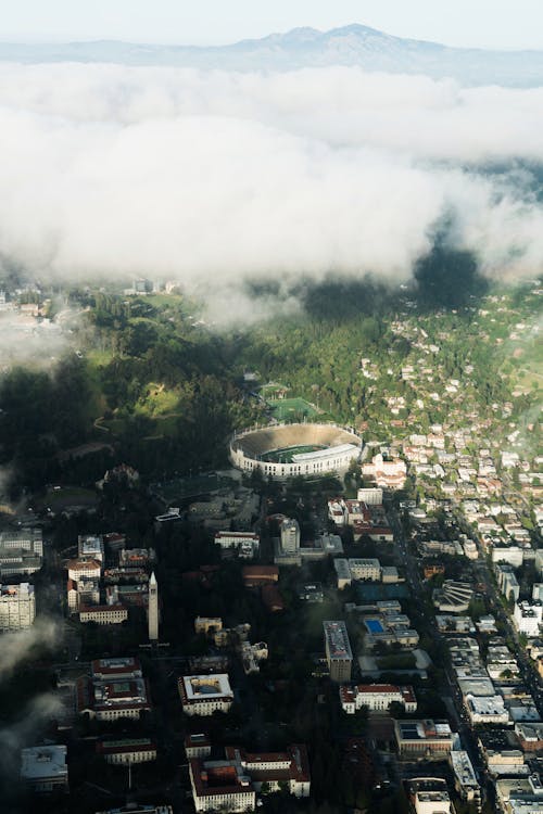 Aerial View of Berkely City Buildings