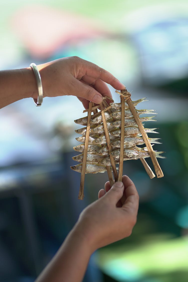 Hand Holding Sticks With Fish 