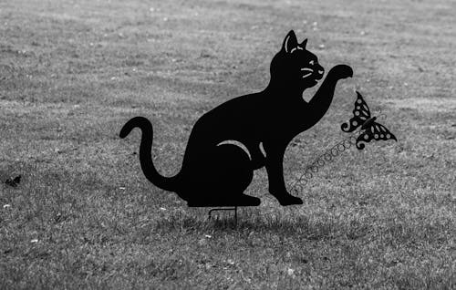 Foto profissional grátis de figura de borboleta, figura de gato