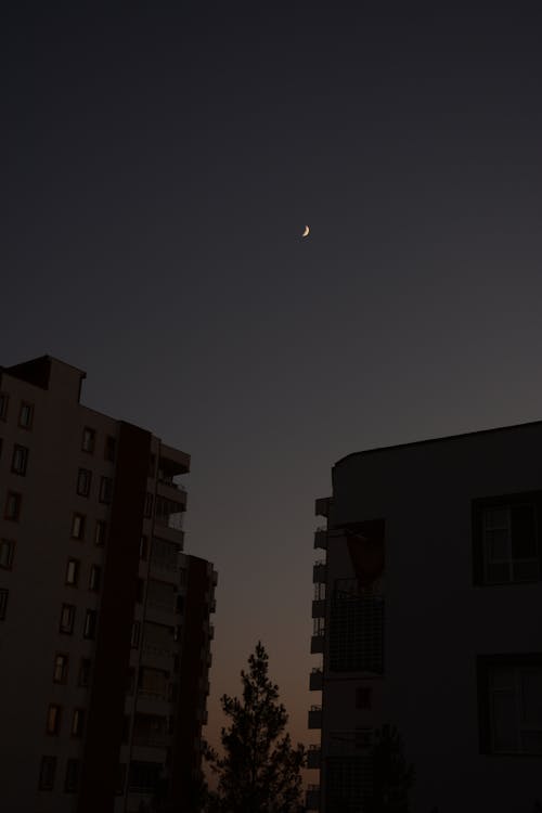 個月, 日落, 月亮攝影 的 免費圖庫相片
