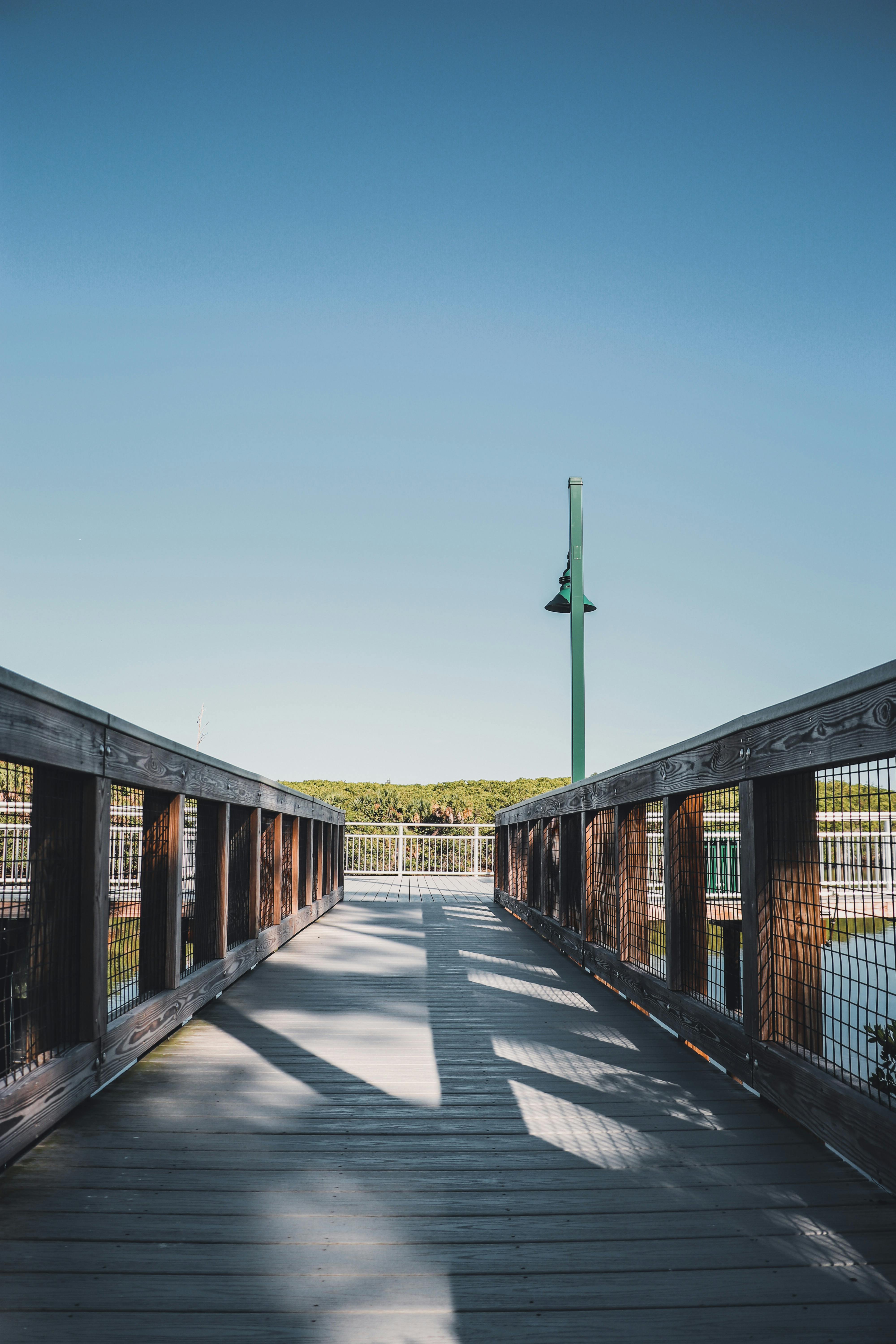 Hailey Shea - Photography