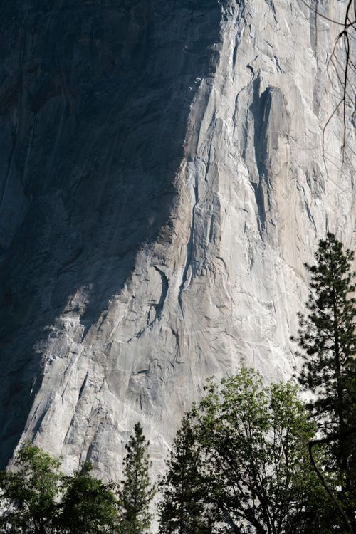 Free A breathtaking view of El Capitan's granite rock face in Yosemite National Park surrounded by lush trees. Stock Photo