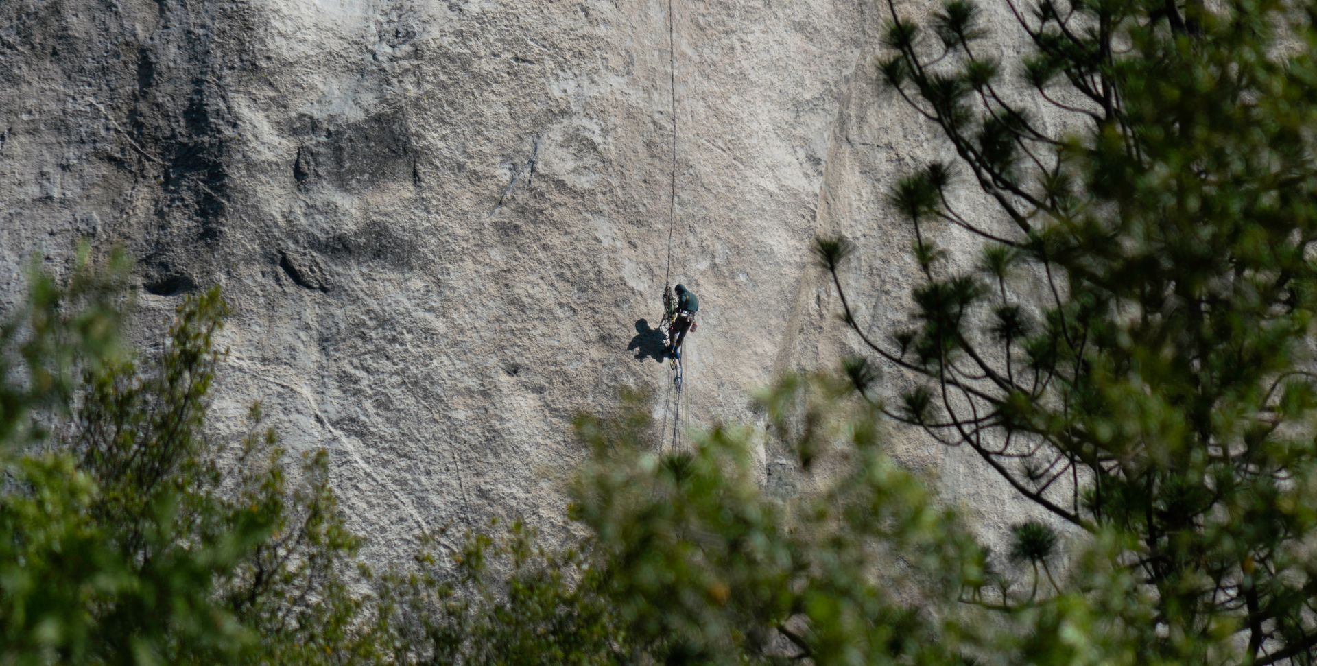 Rock climber tackles a challenging ascent on a steep cliff surrounded by lush trees.