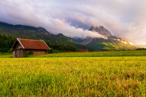 Immagine gratuita di campagna, erba, esterno