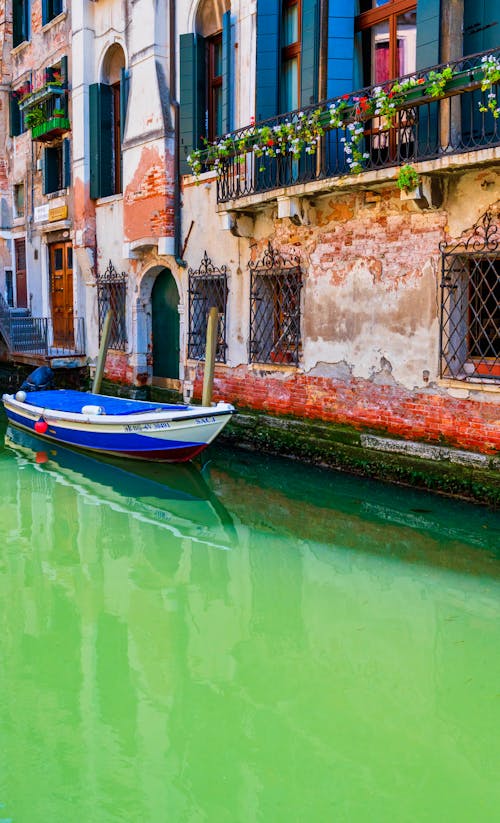 Blue and White Boat on River Between Houses