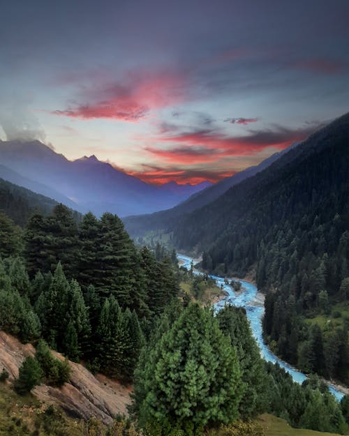 Aerial Photography of Green Trees on Mountains during Sunset