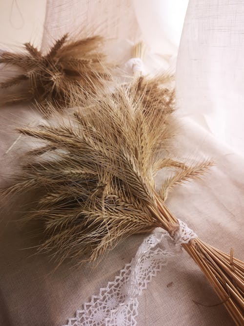 Bundle of Wheat Grass on White Textile