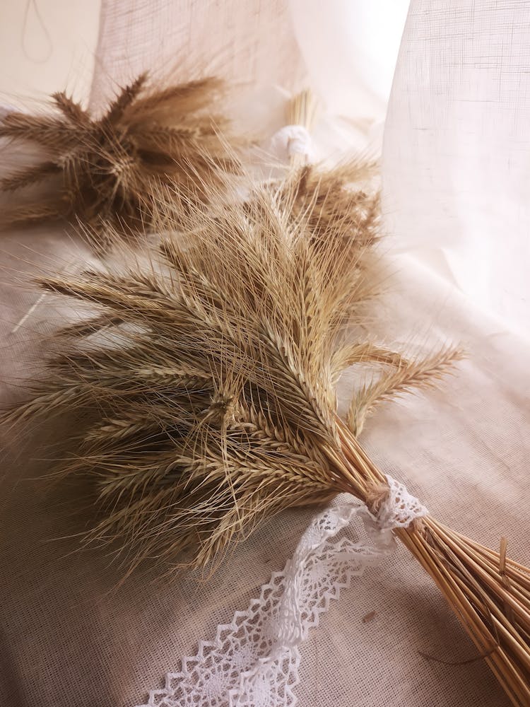 Bundle Of Wheat Grass On White Textile