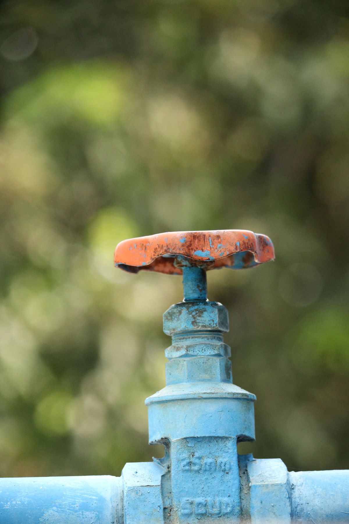 Rustic outdoor water valve against a blurred green background