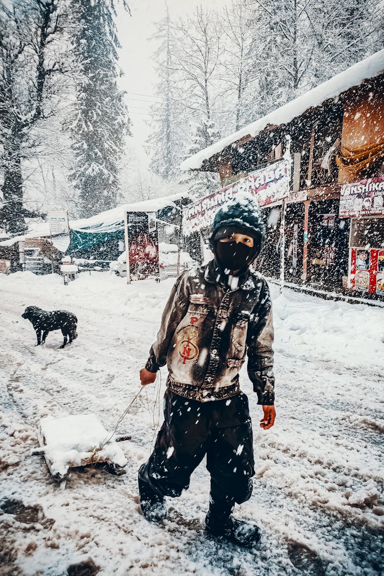 Small Dog And A Boy Pulling A Sledge In A Snowy Weather 