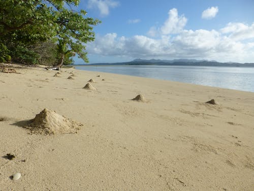 Kostenloses Stock Foto zu insel, sand, strand