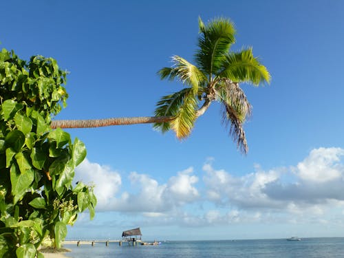 Kostenloses Stock Foto zu blauer himmel, horizont, insel