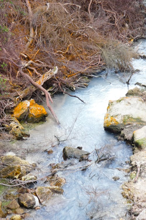 Kostenloses Stock Foto zu draußen, felsen, fließendes wasser