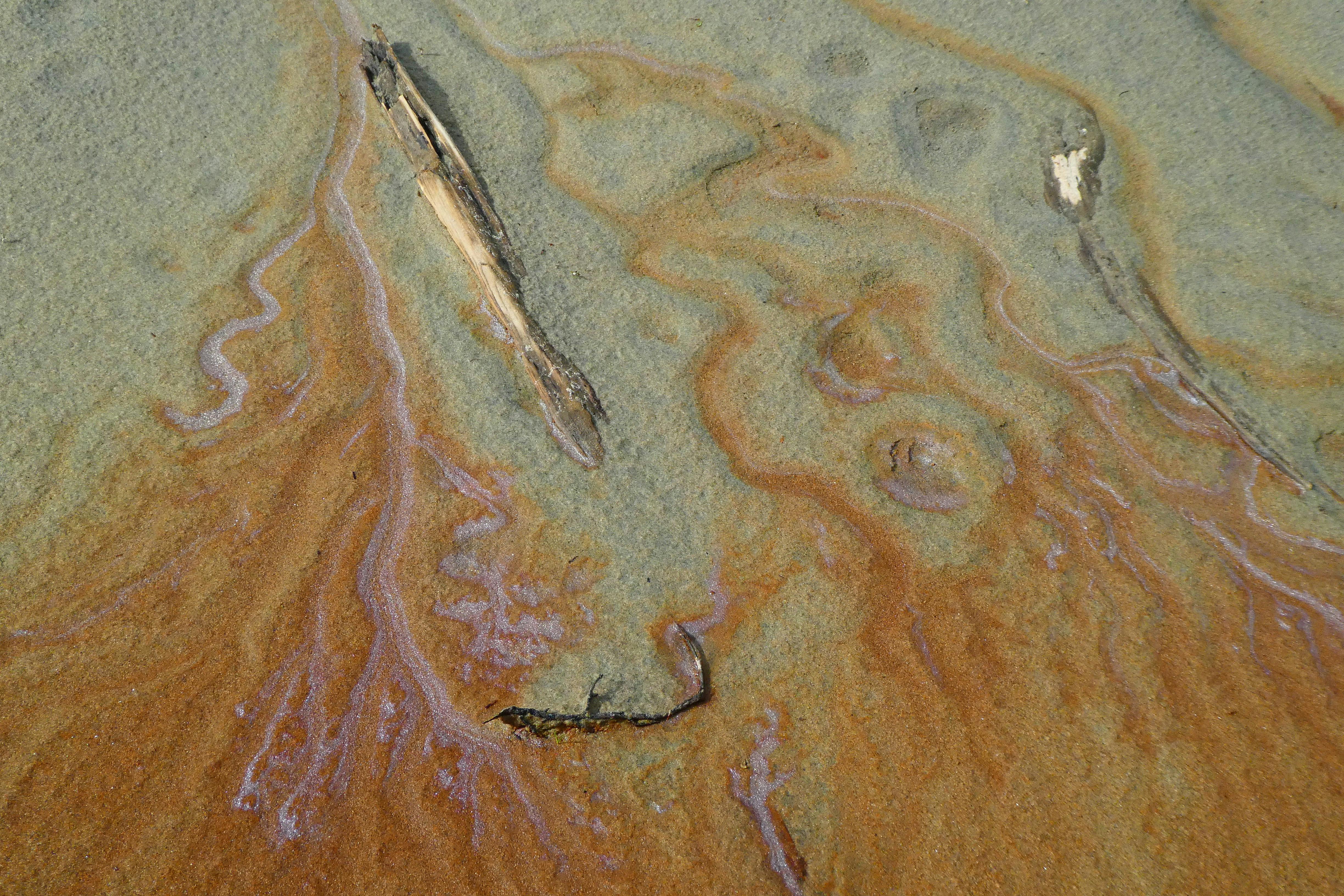 Close Up of a Dirty Sand

