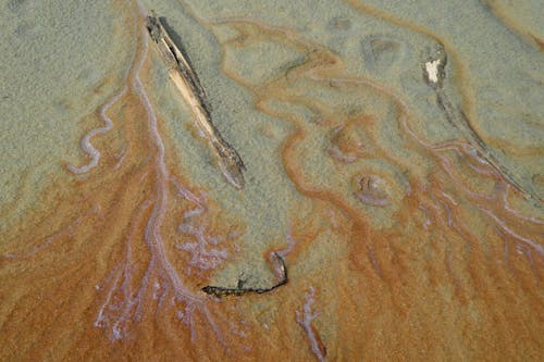 Darmowe zdjęcie z galerii z brudny, kwaśny deszcz, piasek