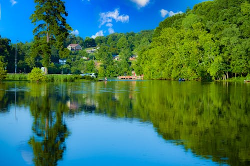 Immagine gratuita di alberi, calma, cittadina