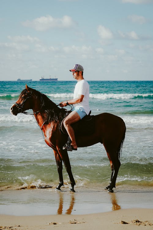 Man Riding a Horse in the Beach