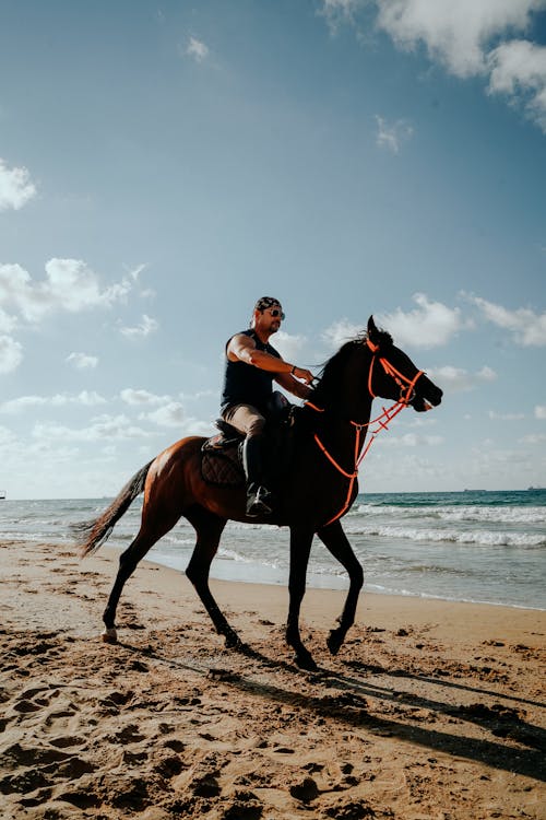 Man Riding a Horse in a Beach