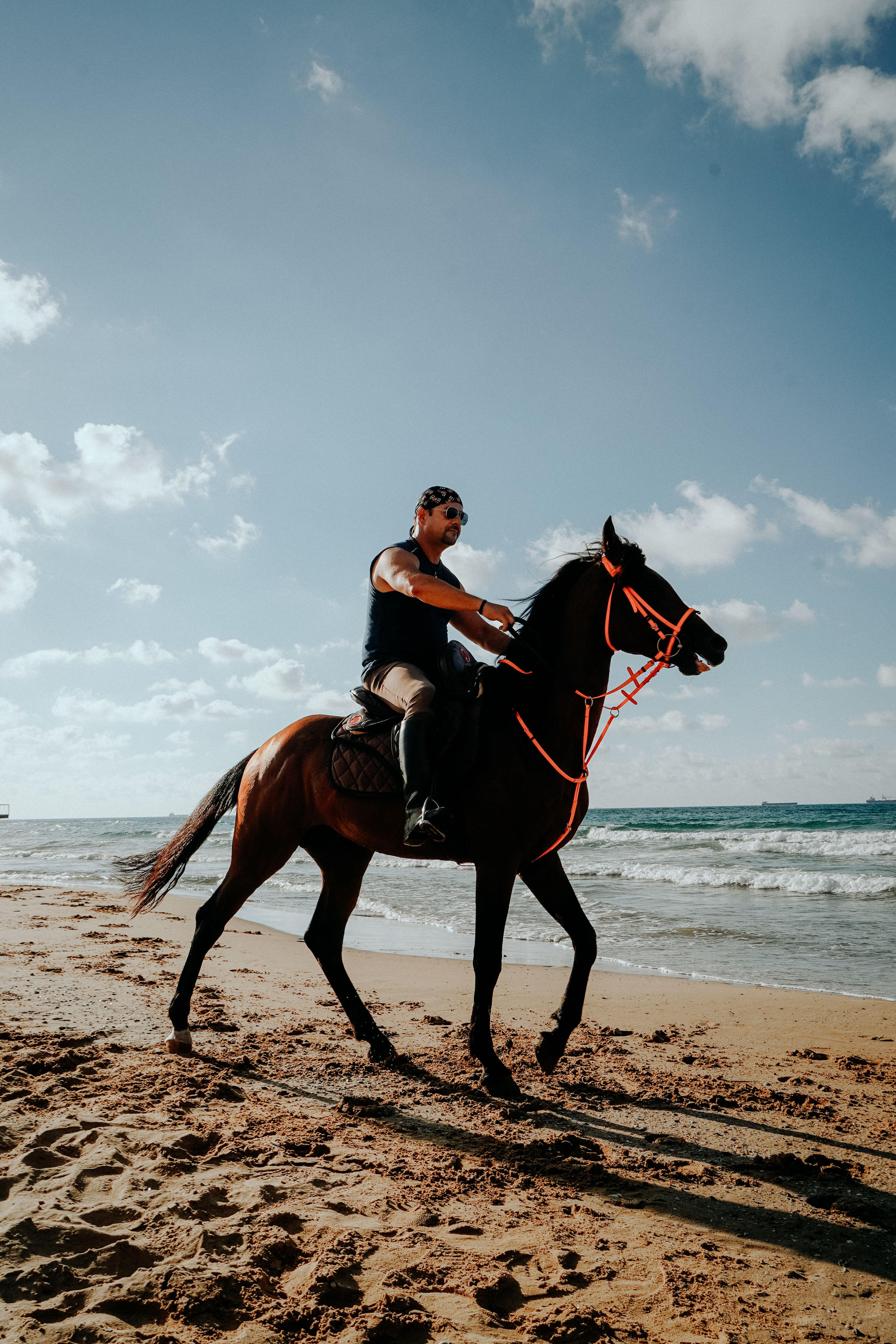 Man Riding a Horse in the Beach · Free Stock Photo