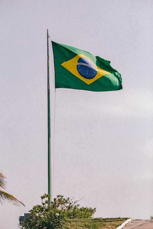 Gratuit Imagine de stoc gratuită din Brazilia, face cu mâna, fotografiere verticală Fotografie de stoc