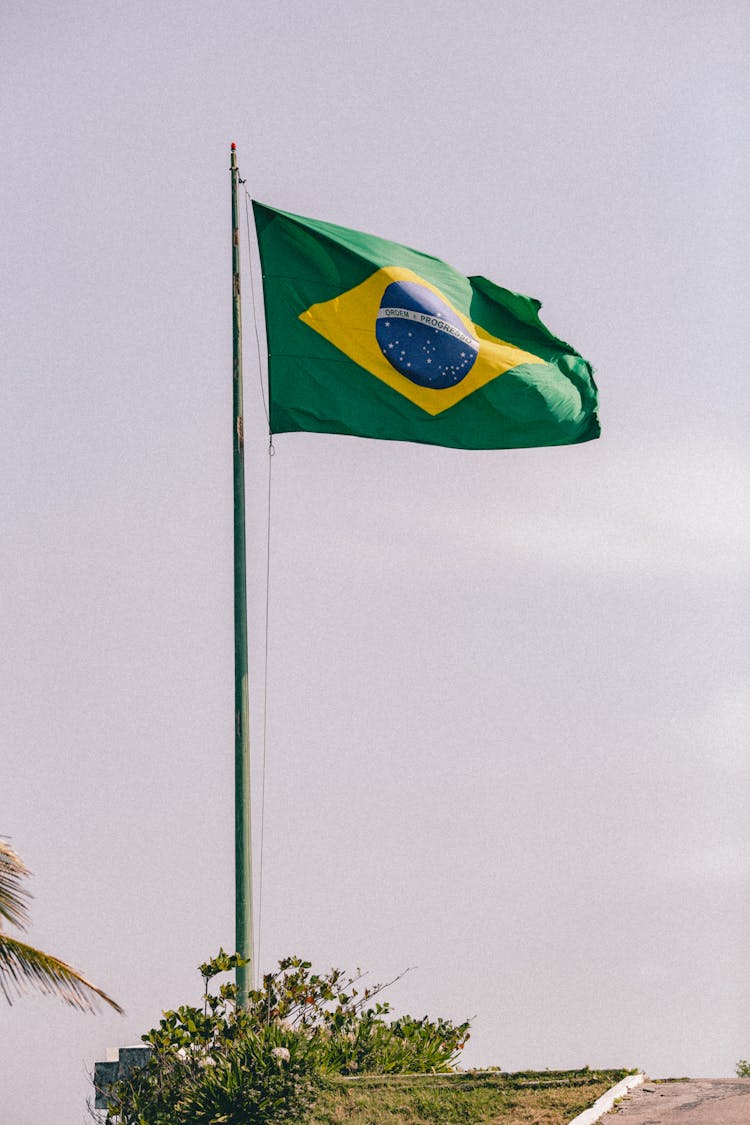 The Flag Of Brazil Waving