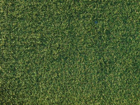 Top View of Synthetic Green Grass