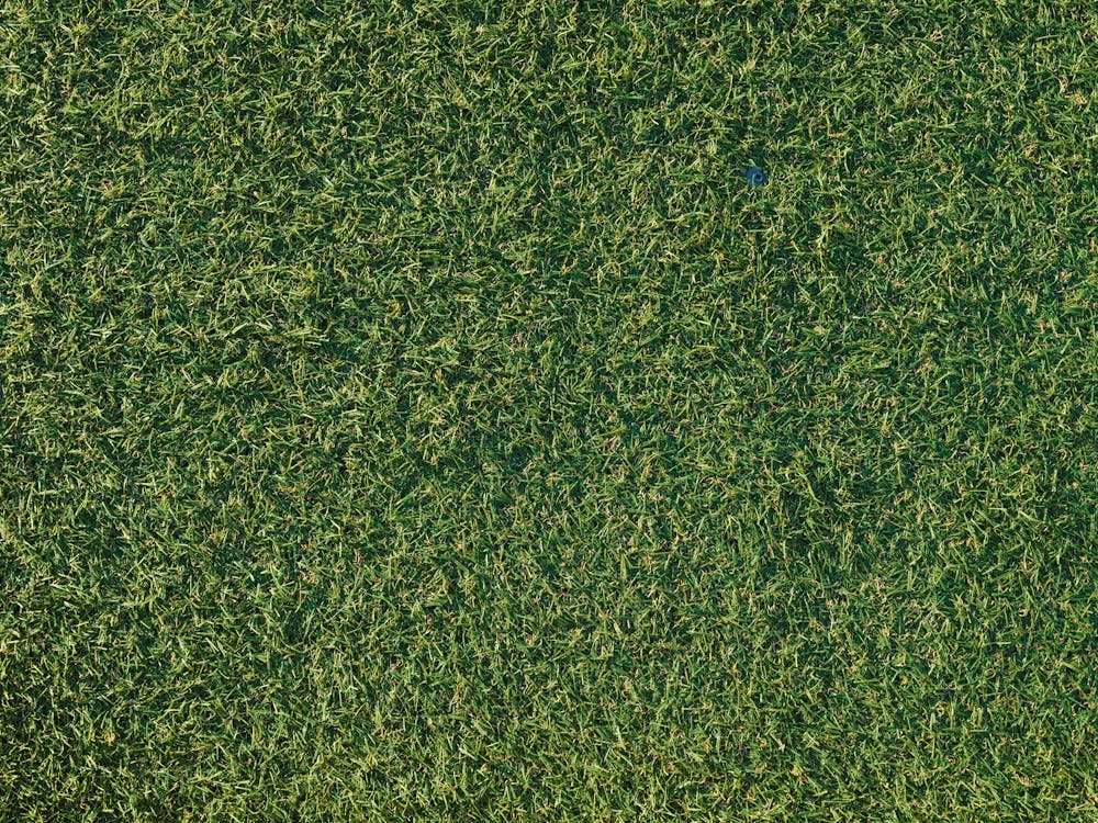 A patch of artificial grass