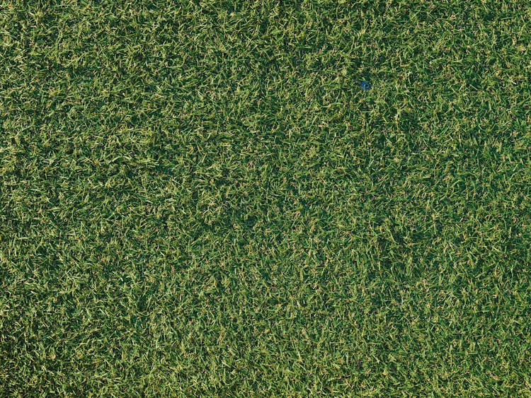 Top View Of Synthetic Green Grass