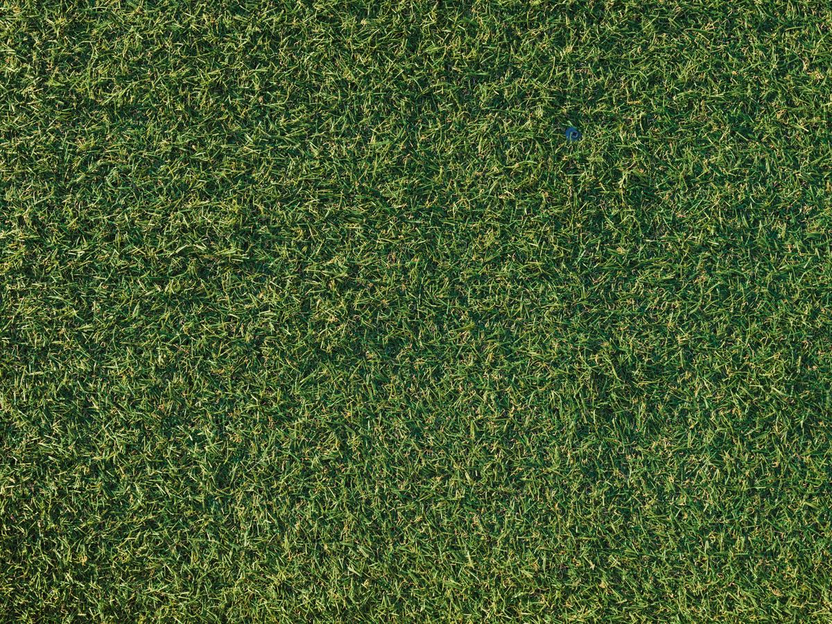 Detailed shot of lush, green artificial grass with a natural look.