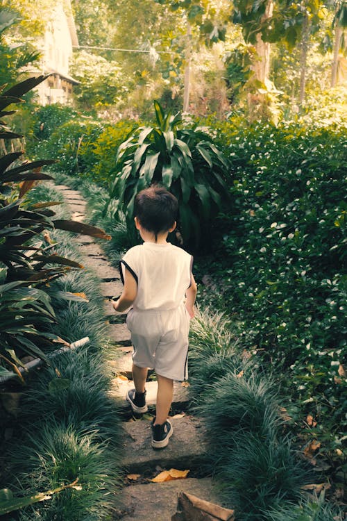 Boy Walking on a Pathway