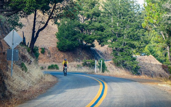 Person cycling along a winding mountain road surrounded by lush trees on a clear day.