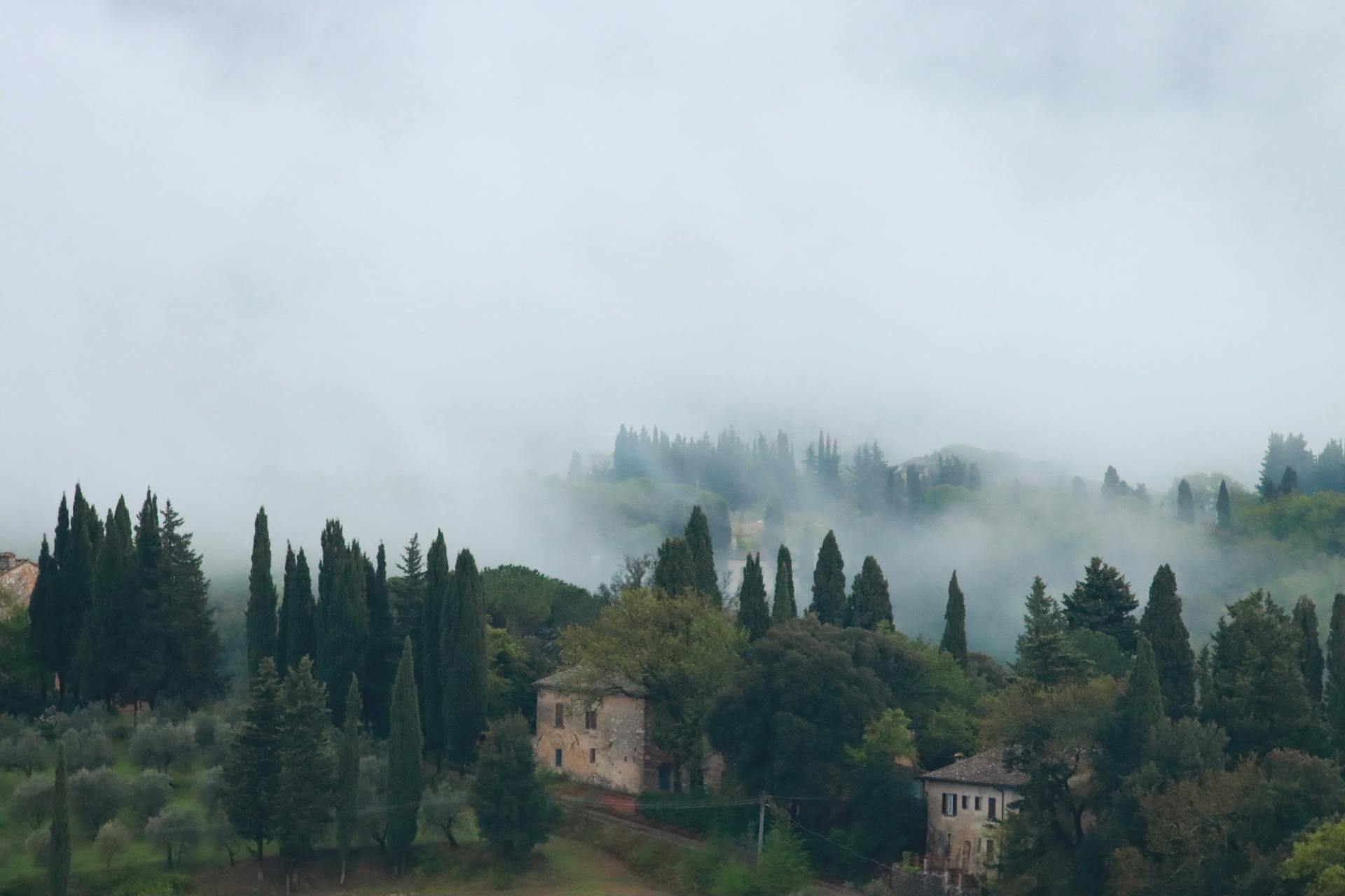 Foggy landscape of Tuscany with cypress trees and rustic buildings.