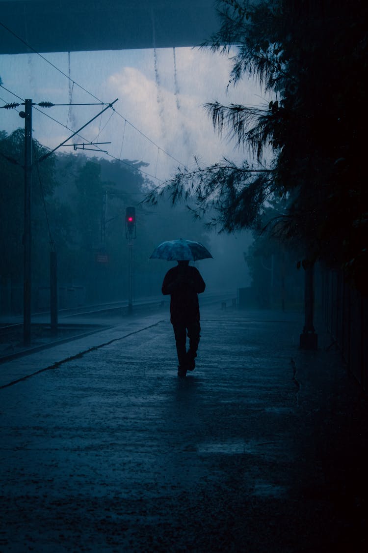 Back View Of A Person With An Umbrella Walking In The Rain