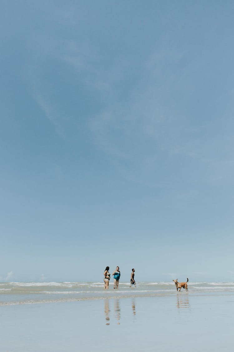 People And Dog In The Beach