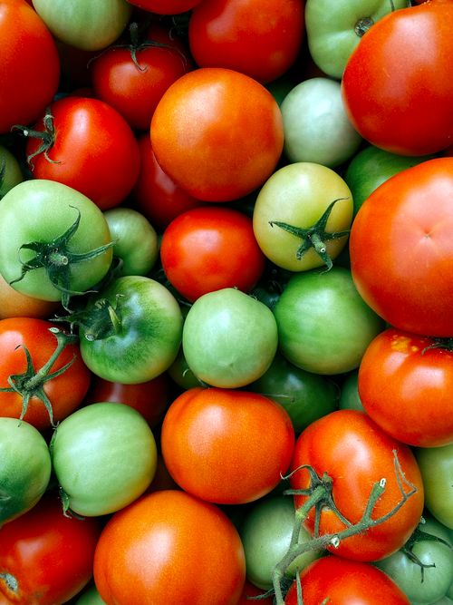 Free A vibrant mix of fresh green and red tomatoes showcasing their ripeness and natural texture. Stock Photo