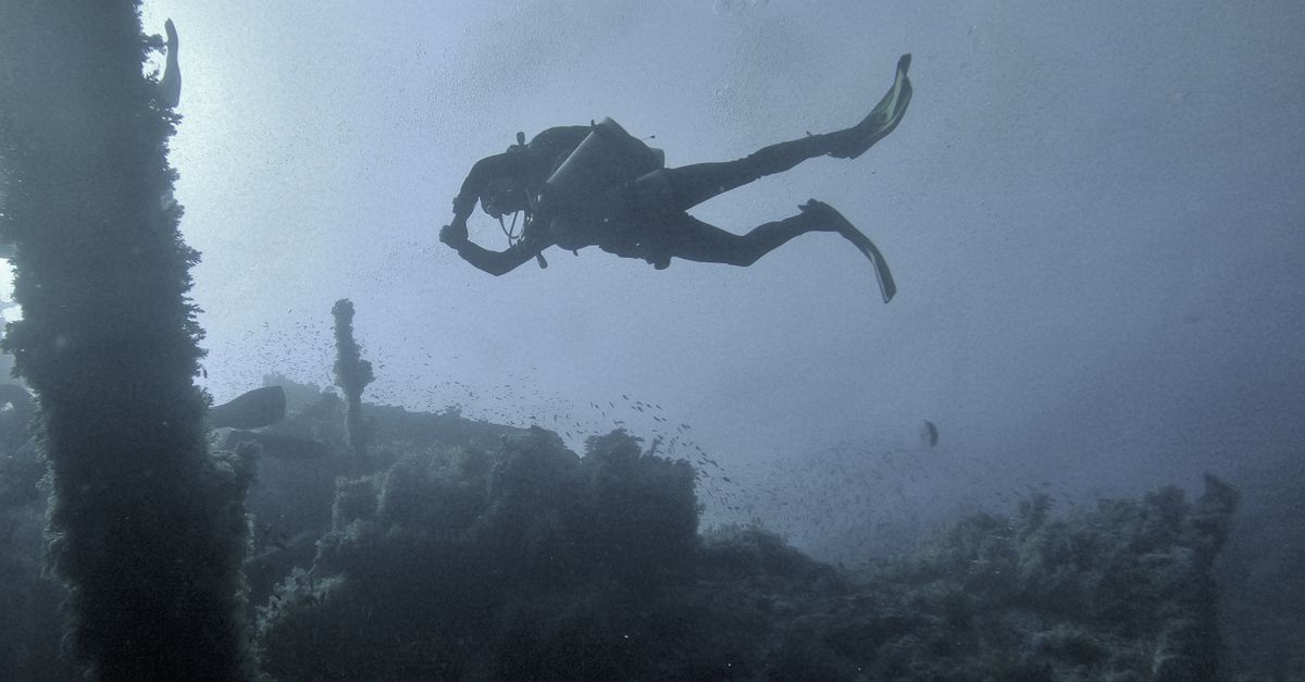 Scuba diver exploring submerged structures in the ocean, surrounded by marine life.