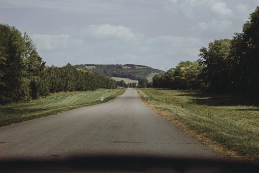 A peaceful rural road surrounded by green grass and trees, leading towards distant mountains under a cloudy sky.