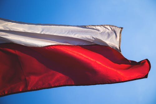 Gratis Fotos de stock gratuitas de bandera, bandera polaca, banderola Foto de stock