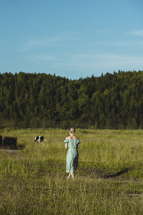 Free Woman in a Dress Walking on the Pasture Stock Photo