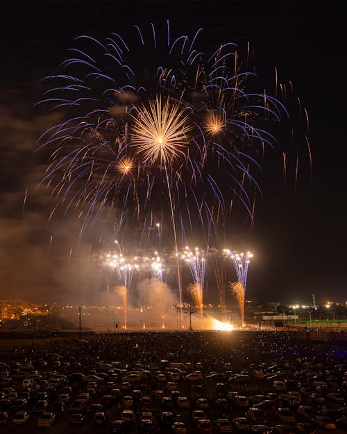 A Fireworks Display at Night