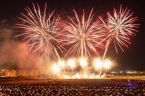 A Fireworks Display at a Park