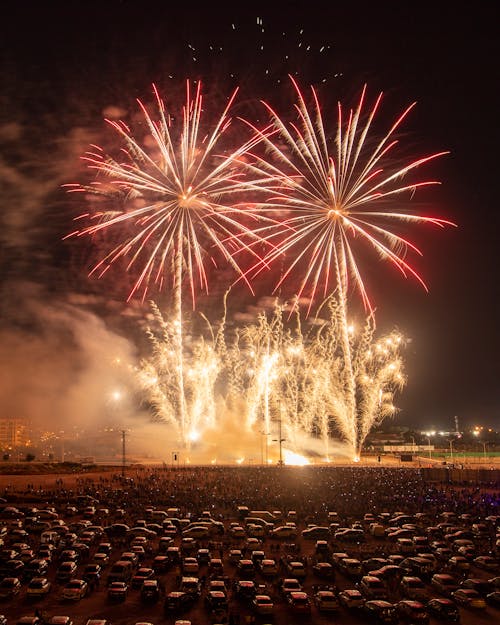 Red and Gold Firework Display 