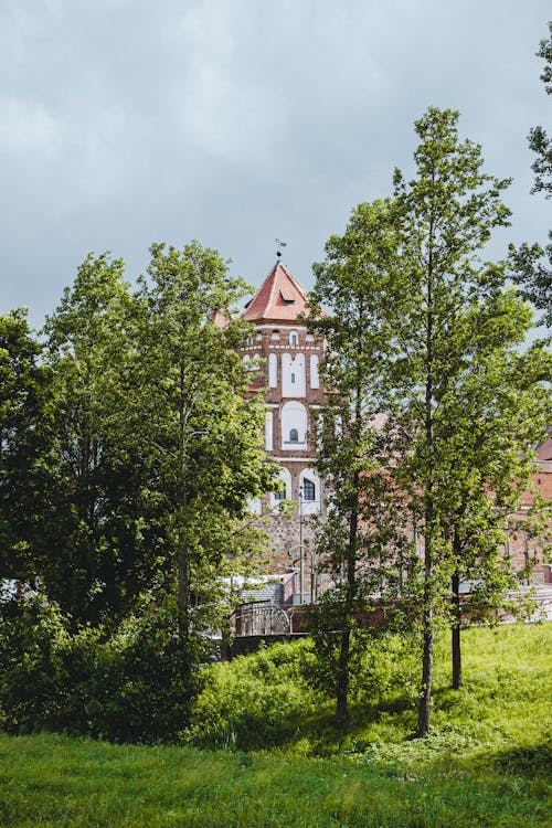 Photos gratuites de arbres, Biélorussie, château