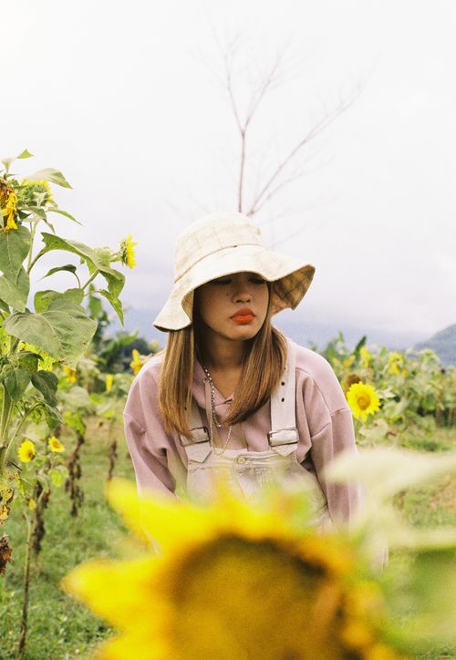 Free Portrait of a woman in a pink sweater and bucket hat amidst a vibrant sunflower field. Stock Photo