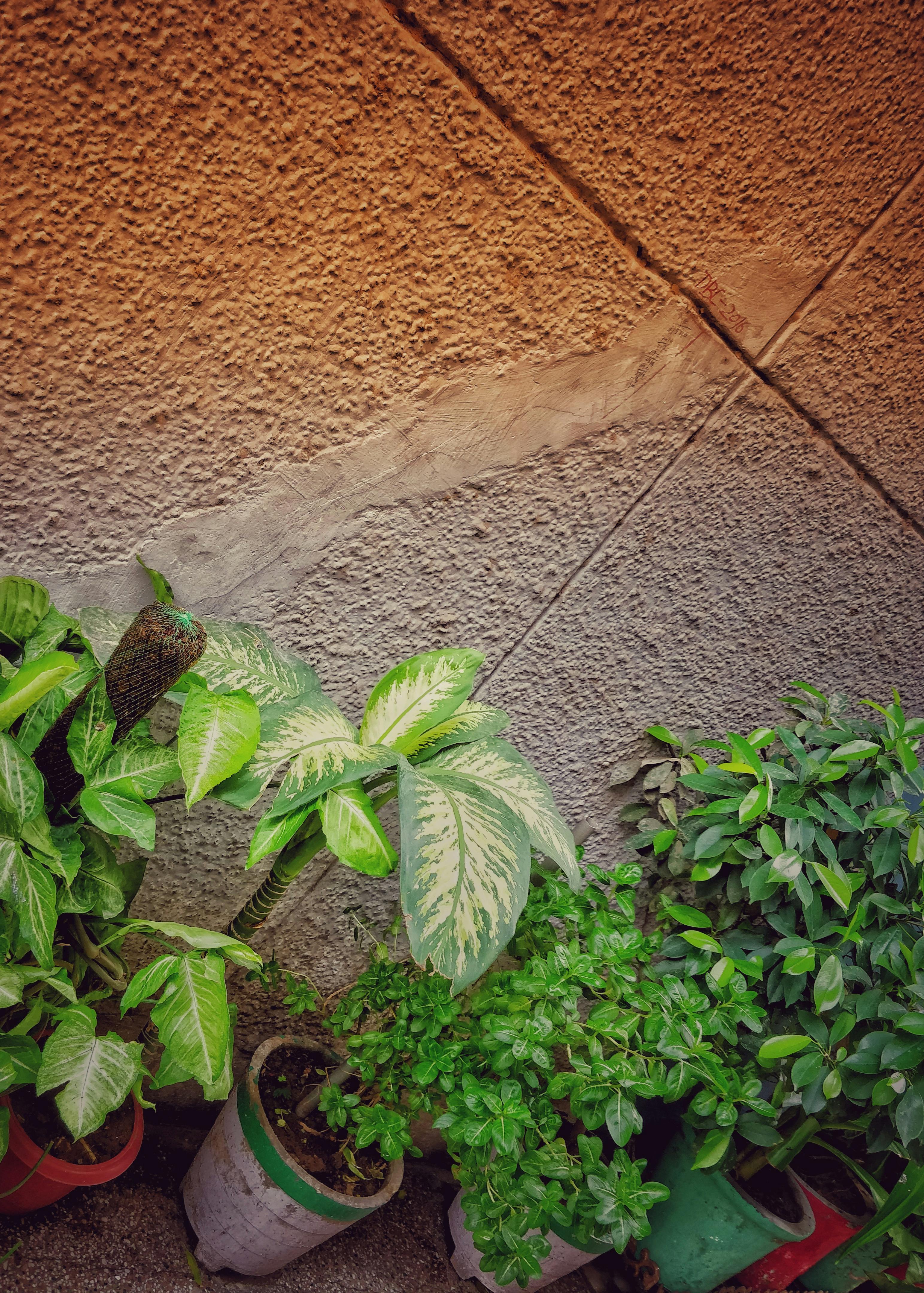 Messy bed sheets after intense intimate encounter