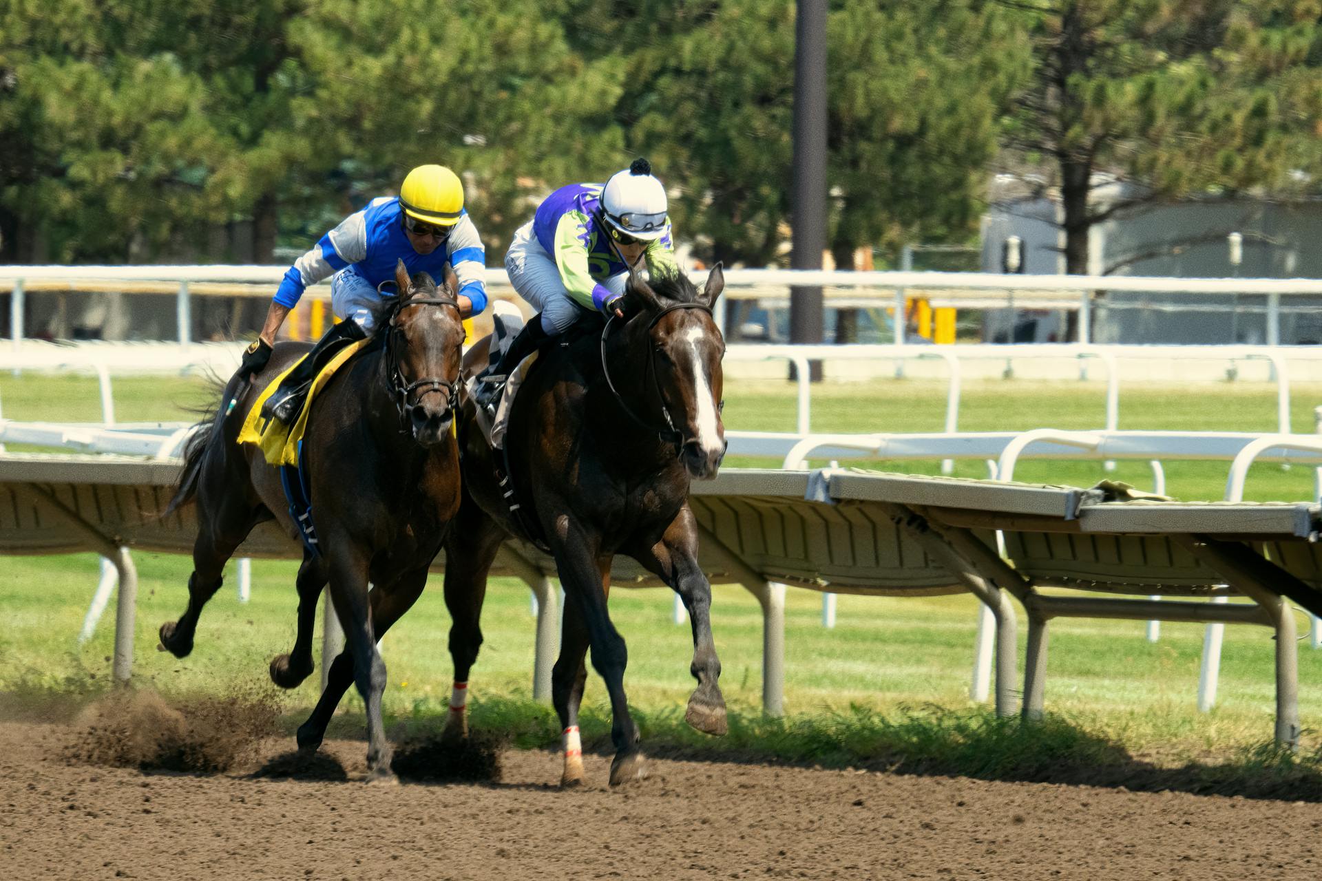 Dynamic shot of jockeys competing in a thrilling horse race at Canterbury Park, Shakopee.