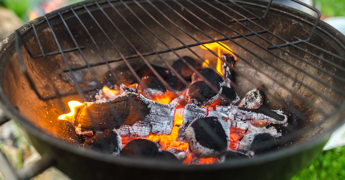 How to grill mahi charcoal